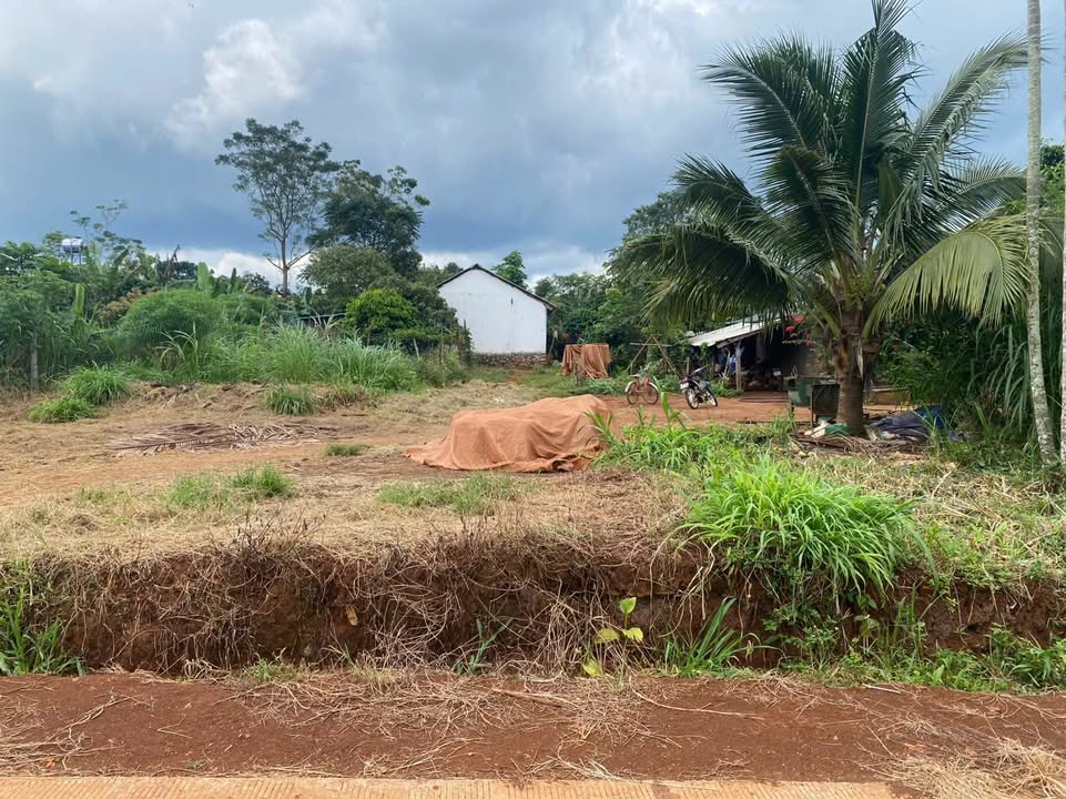 Đất nền thổ cư phường Cư Bao, Buôn Hồ, Đắk Lắk - Diện tích 150m² chỉ 330 triệu!