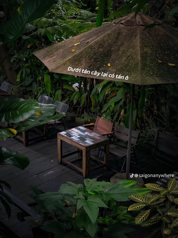 Nhà cấp 4 tại hẻm Trần Quý Cáp, Buôn Ma Thuột 167m² giá 2.38 tỷ - Đường ô tô vào tận nơi!