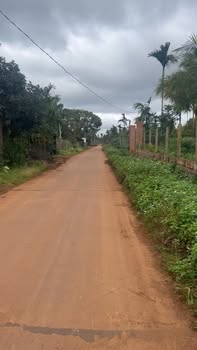 Đất nền Phú Lộc, Krông Năng 180m² giá 600 triệu - Dân cư đông đúc, vị trí đẹp!