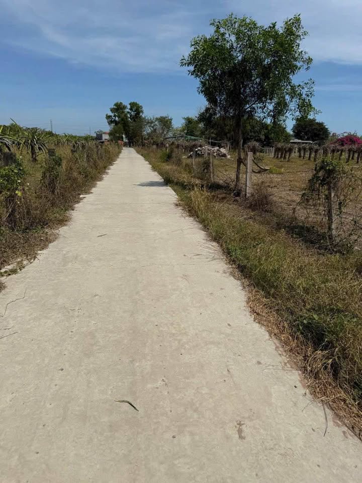 Đất nông nghiệp 1 sào tại Hàm Liêm, Bình Thuận giá 460 triệu - Cơ hội đầu tư hấp dẫn!