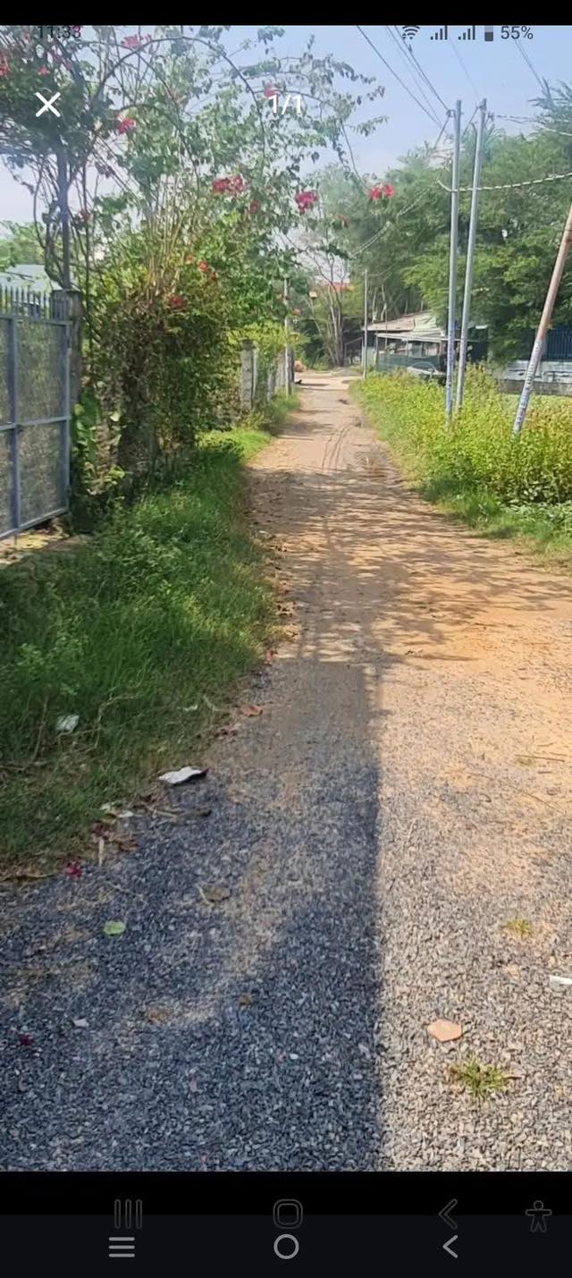 Đất thổ cư 100m² tại Phan Thiết chỉ 1 tỷ - Đường ô tô tận đất!