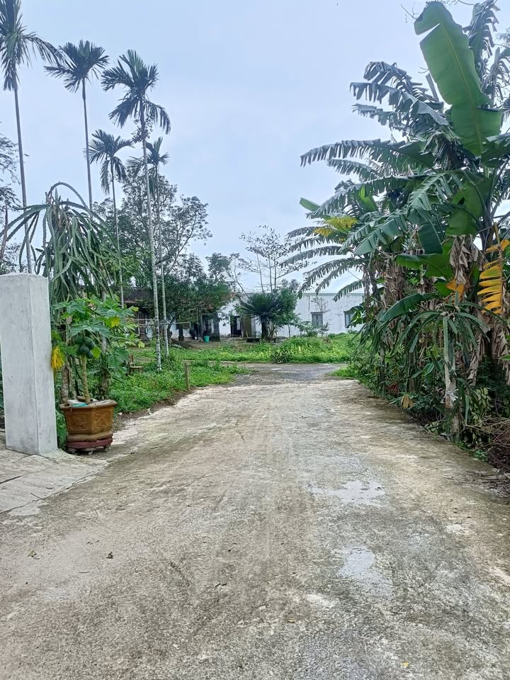 Đất nền Phú Thượng, Hòa Khánh Bắc, 120m² giá 1.3 tỷ - Khu dân cư yên tĩnh