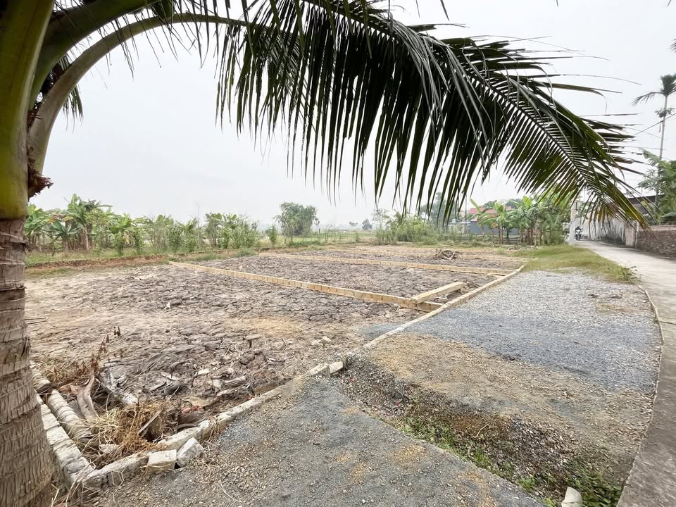 Đất nền Thanh Lương, Vĩnh Bảo 84m² giá chỉ 600 triệu - Đầu tư sinh lời cao!