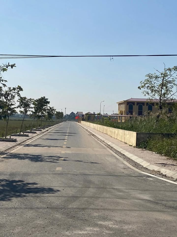 Đất nền Trấn Dương, Vĩnh Bảo 500m² - Vị trí đắc địa, cơ hội đầu tư tốt!