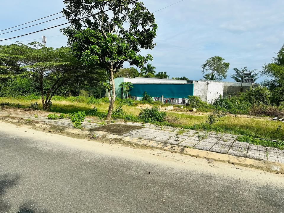 Đất nền dự án TNT Trường Xuân 101m² giá 1.65 tỷ - Không ngập lụt, đầu tư sinh lời!