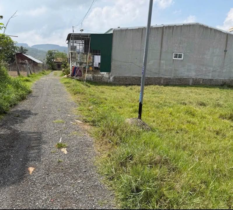 Đất nền hẻm 11 Phú Hội, Đức Trọng 115m² giá 890 triệu - Sổ đỏ chính chủ!