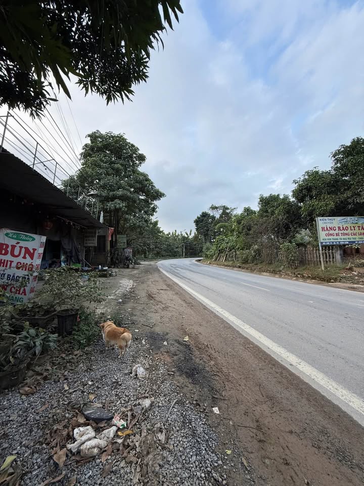 Đất thổ cư 445m² tại Km9 Bản Cầm giá chỉ 1.29 tỷ - Mặt tiền 10m, vị trí đắc địa!