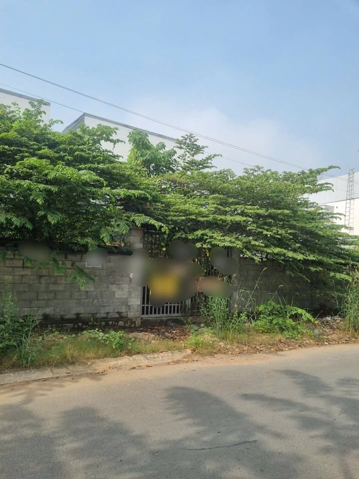 Đất mặt tiền biệt thự Thạnh Mỹ Lợi 630m² giá 160 tỷ - Cơ hội đầu tư không thể bỏ qua!