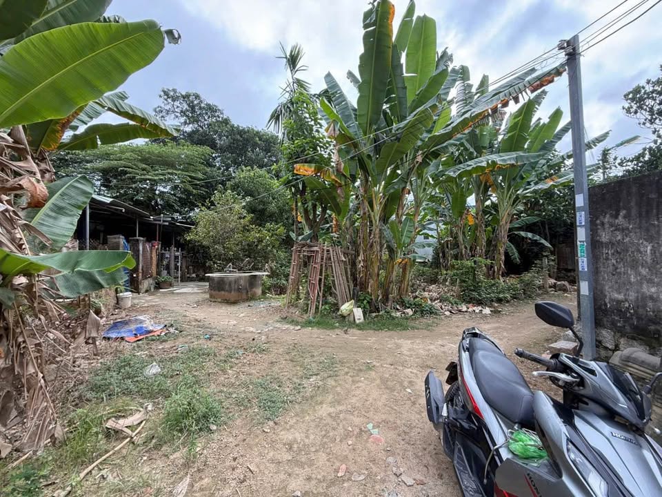 Đất thổ cư 101m² hẻm đường Cầu Bè, Vĩnh Thạnh, Nha Trang chỉ 1.28 tỷ - Cơ hội đầu tư hấp dẫn!