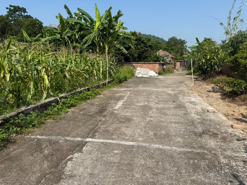 Đất nền Phù Lãng Quế Võ 95m² giá 800 triệu - Đầu tư sinh lời hấp dẫn!