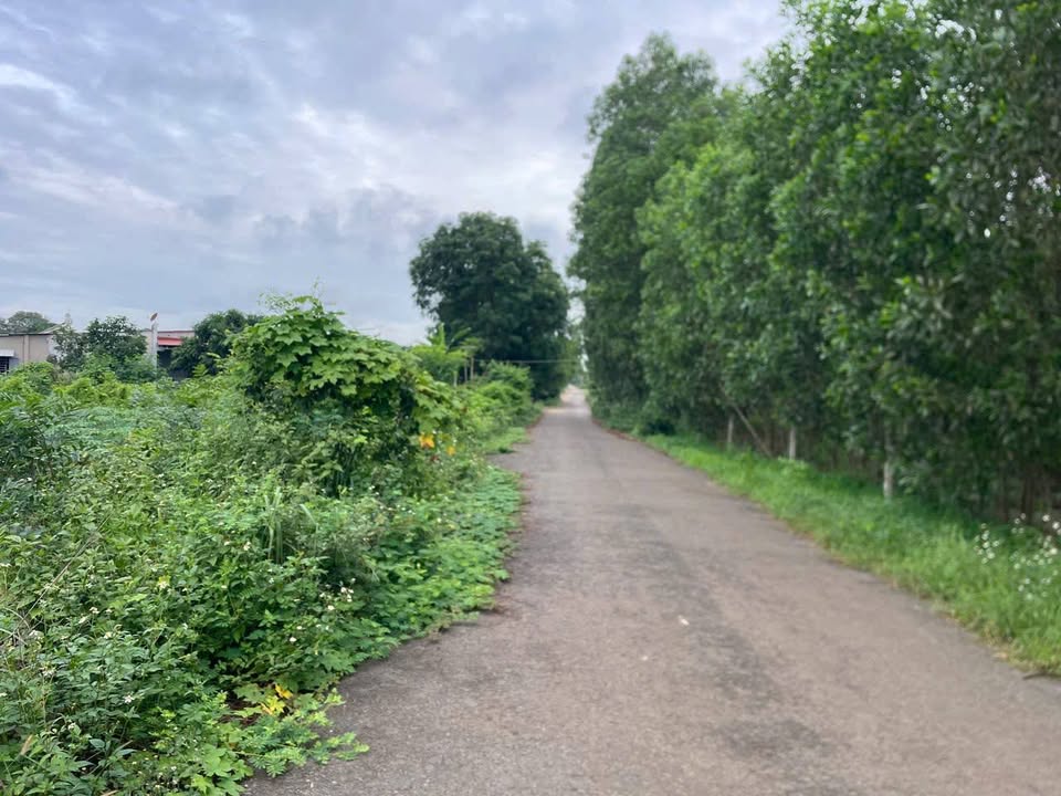 Đất nền mặt tiền đường Võ Văn Kiệt, Tân Thành, Phú Mỹ - Diện tích 13608m², giá 136.08 tỷ!