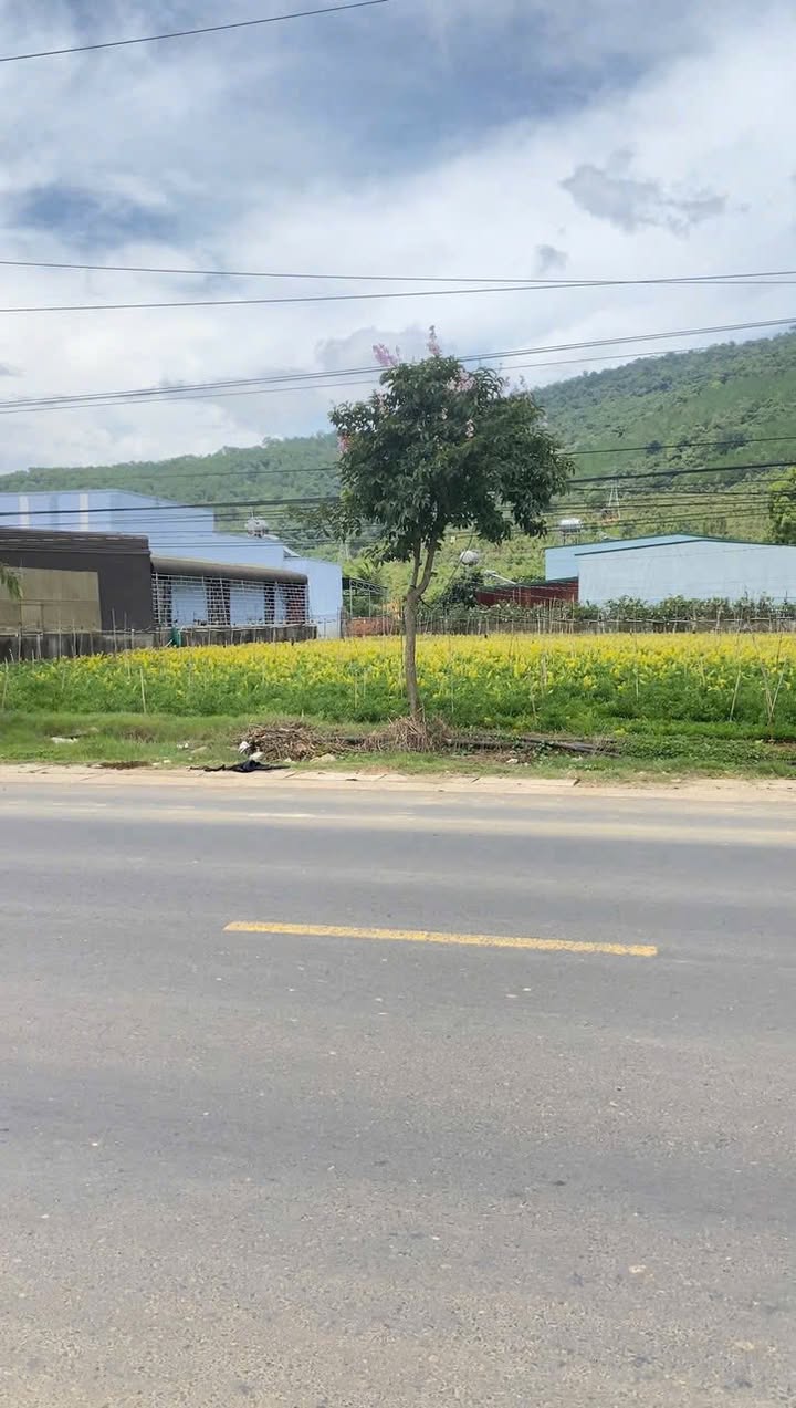 Đất nền Hiệp An, Đức Trọng 1612m² giá 21.7 tỷ - Mặt tiền Quốc lộ 20, cơ hội đầu tư tuyệt vời!