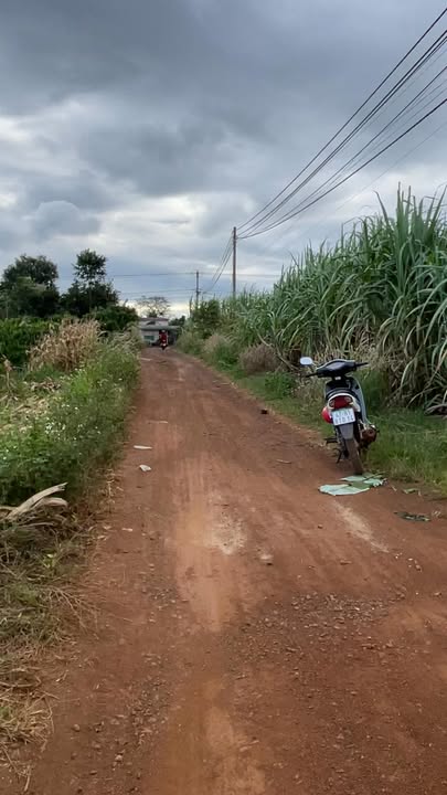 Đất thổ cư thôn 6 xã Ea M'nang 2600m² giá 1.2 tỷ - Chính chủ bán gấp!