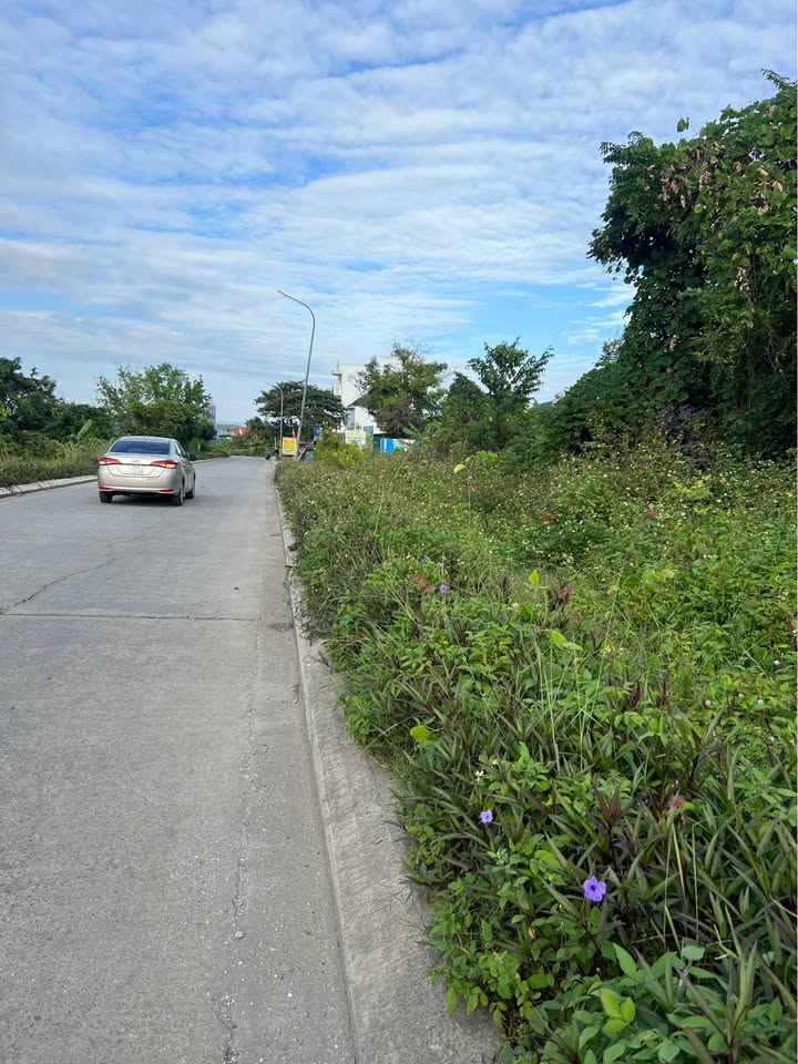 Đất nền Tuần Châu Hạ Long 700m² giá thỏa thuận - Cơ hội đầu tư tuyệt vời!