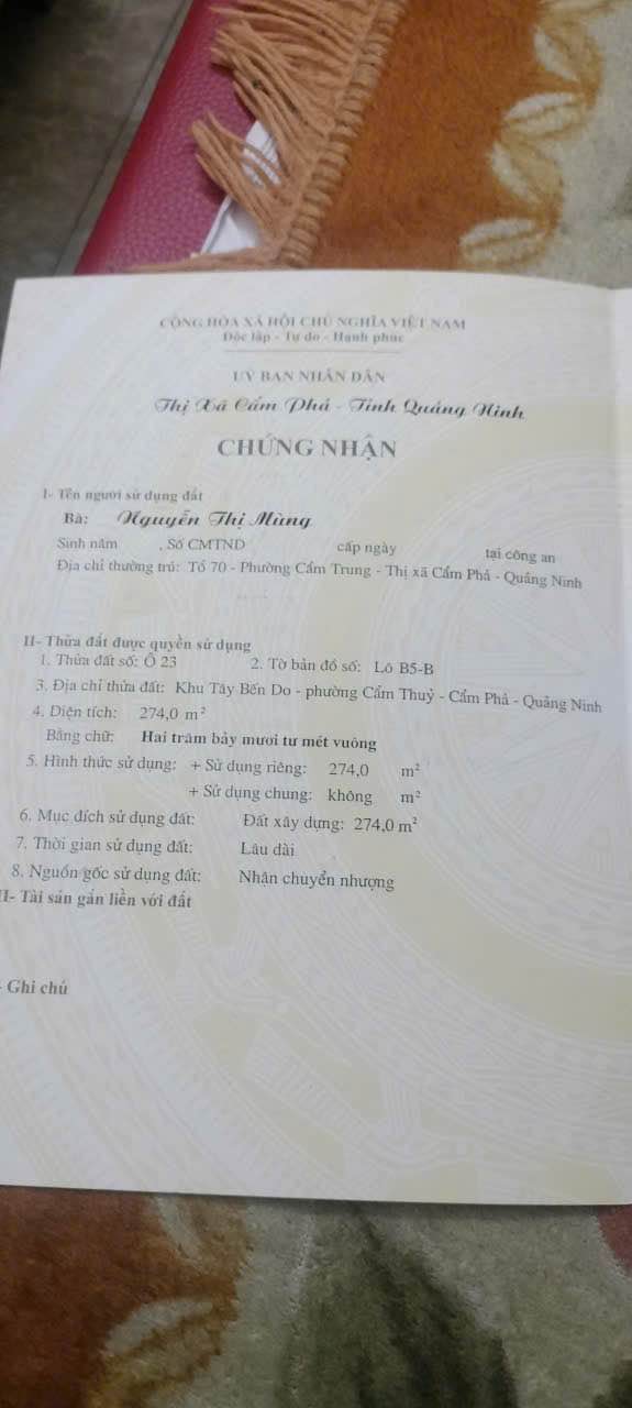 Đất ô góc Cẩm Phả 274m² giá 13.7 tỷ - Mặt đường Nguyễn Văn Trỗi kinh doanh sầm uất!