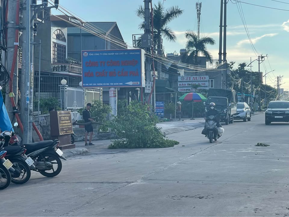 Đất nền mặt đường gom QL18A Cẩm Sơn 120m² giá 2 tỷ - Cơ hội đầu tư tuyệt vời!