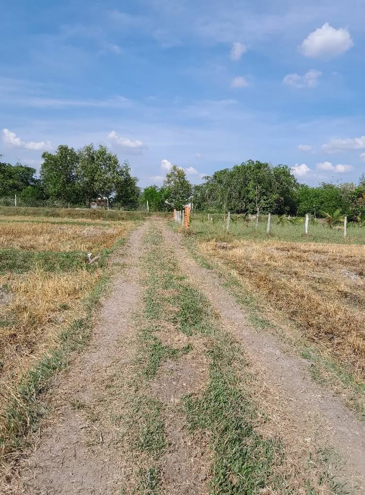 Đất nền 7000m² Thanh Điền, Tây Ninh giá 1.12 tỷ - Gần chợ, đường ô tô vào tận nơi!