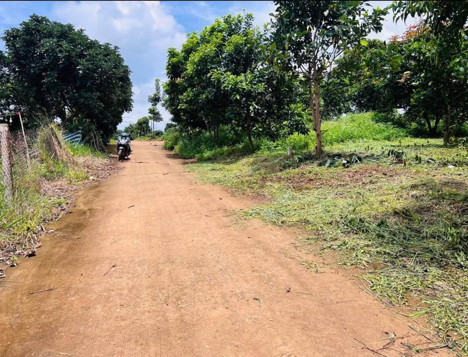 Đất thổ cư Nam Ban Lâm Hà 100m² giá 780 triệu - Sổ hồng riêng, xây ở ngay!