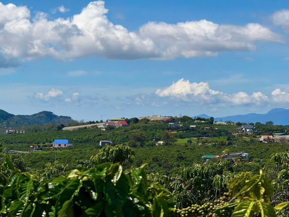 Đất thổ cư Nam Hà 210m² giá 499 triệu - Cơ hội đầu tư hấp dẫn!