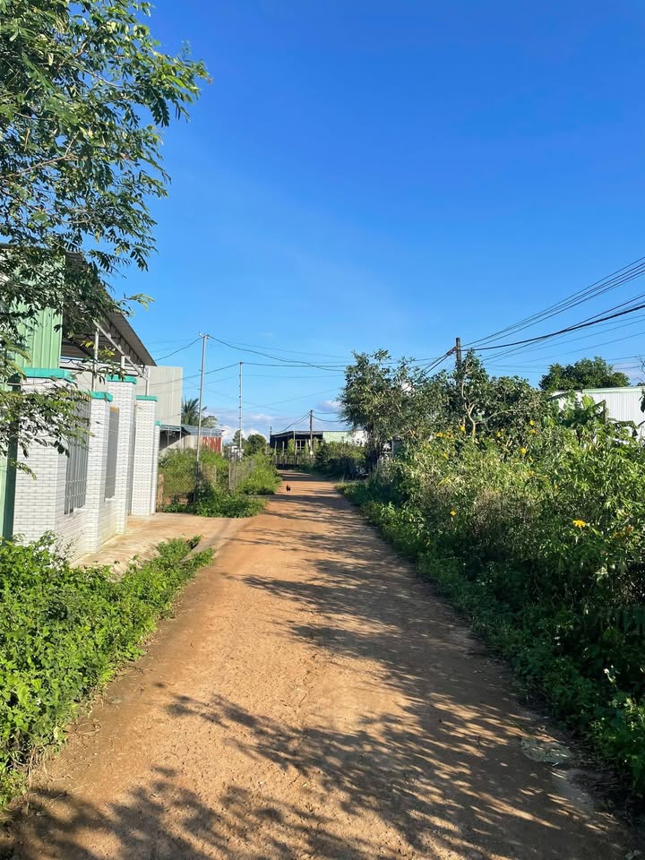 Bán đất thổ cư hẻm chính Đào Duy Từ, xã Biển Hồ, 135m² chỉ 400 triệu - Cơ hội đầu tư hấp dẫn!