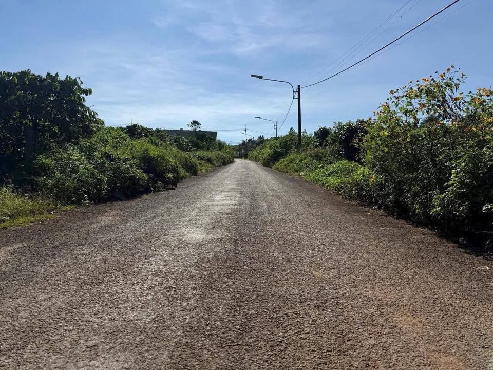 Đất mặt tiền Nguyễn Siêu, Phường Diên Hồng, 280m² chỉ 800 triệu - Sổ đỏ chính chủ!