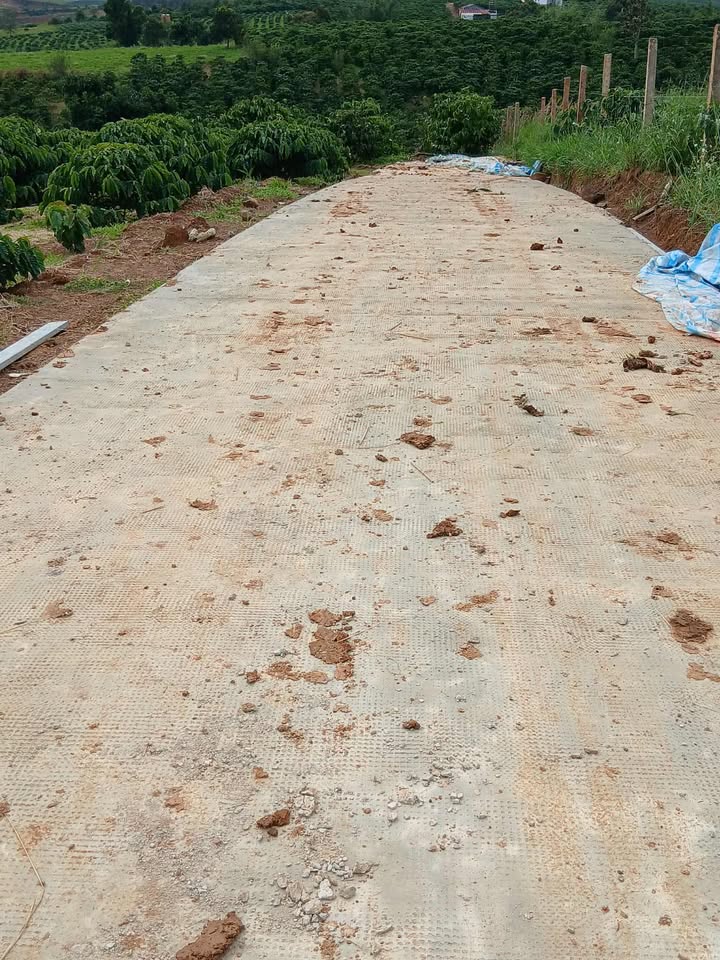 Đất nền Tân Hà Lâm Hà 10.000m² giá chỉ từ 350 triệu - Đầu tư sinh lời ngay!