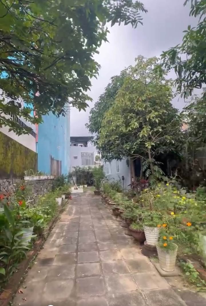 Đất nền Hòa Thọ Đông 143m² giá 3.9 tỷ - Đường thông tứ hướng, vị trí đắc địa!