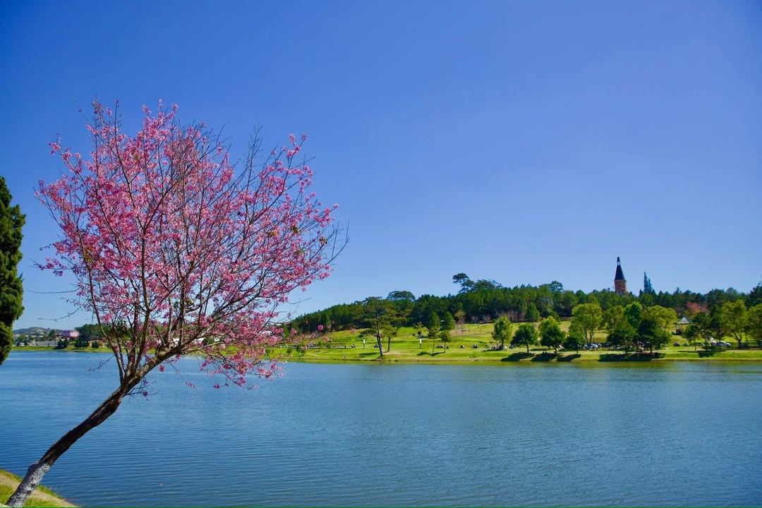 Mặt bằng cho thuê đường Lê Thị Hồng Gấm 170m² giá 45 triệu - Đi bộ ra hồ Xuân Hương chỉ vài bước!