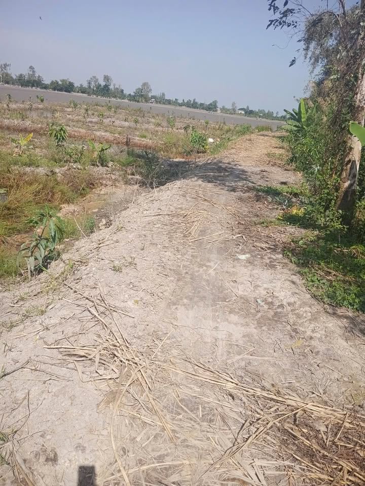 Đất mặt tiền Mỹ Trà 4475m² giá 2.6 tỷ - Đầu tư sinh lời ngay!