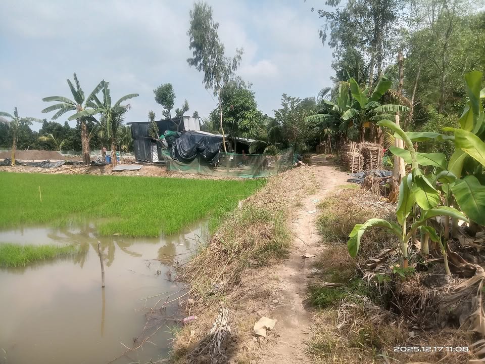 Đất ruộng xã Vĩnh Thới 2600m² giá 500 triệu - Cơ hội đầu tư hấp dẫn!