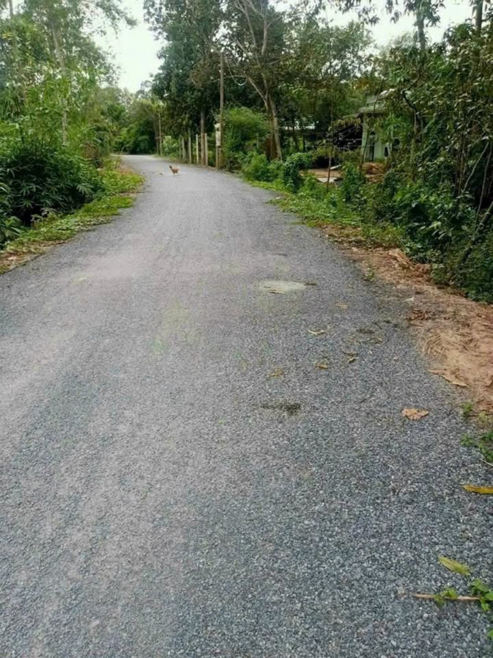 Đất nền Mỹ Trà, Đồng Tháp 119.2m² chỉ 720 triệu - Đầu tư sinh lời ngay!