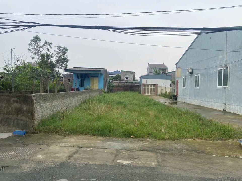 Đất lô 150m² mặt tiền đường Xuân Liễu, Nghi Kim giá 4.38 tỷ - Đầu tư sinh lời cao!