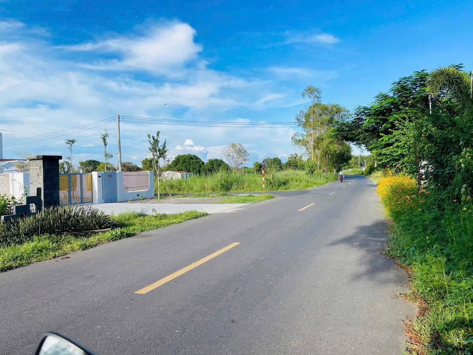 Đất biệt thự vườn 693.5m² tại Phước Hải - Giá chỉ 4 tỷ, cơ hội đầu tư hấp dẫn!