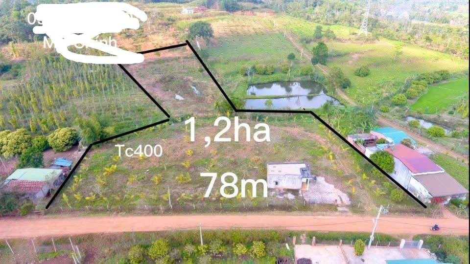 Đất nền 1.2ha tại Cư Huê, Ea Kar - Giá chỉ 1 tỷ VND, mặt tiền đường lớn!