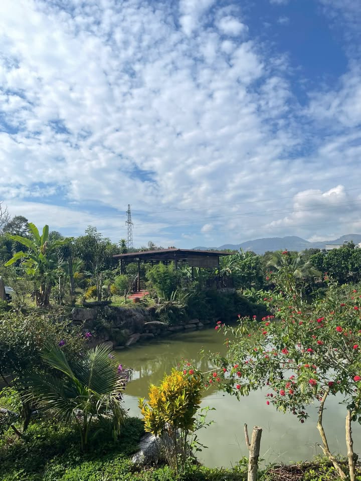 Đất nền Lộc Nam Bảo Lâm 200m² giá 600 triệu - Cơ hội đầu tư hấp dẫn!