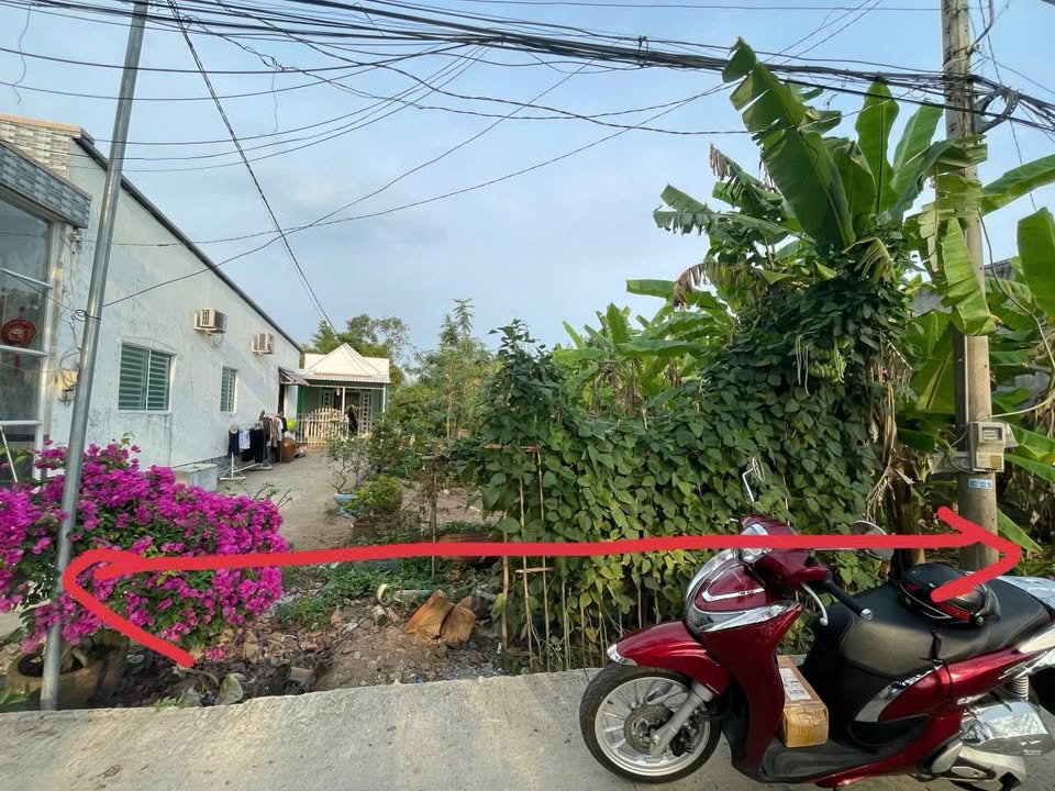 Đất thổ cư 118,3m² tại đường Phạm Ban, Cần Thơ giá 1,5 tỷ - Đầu tư sinh lời ngay!
