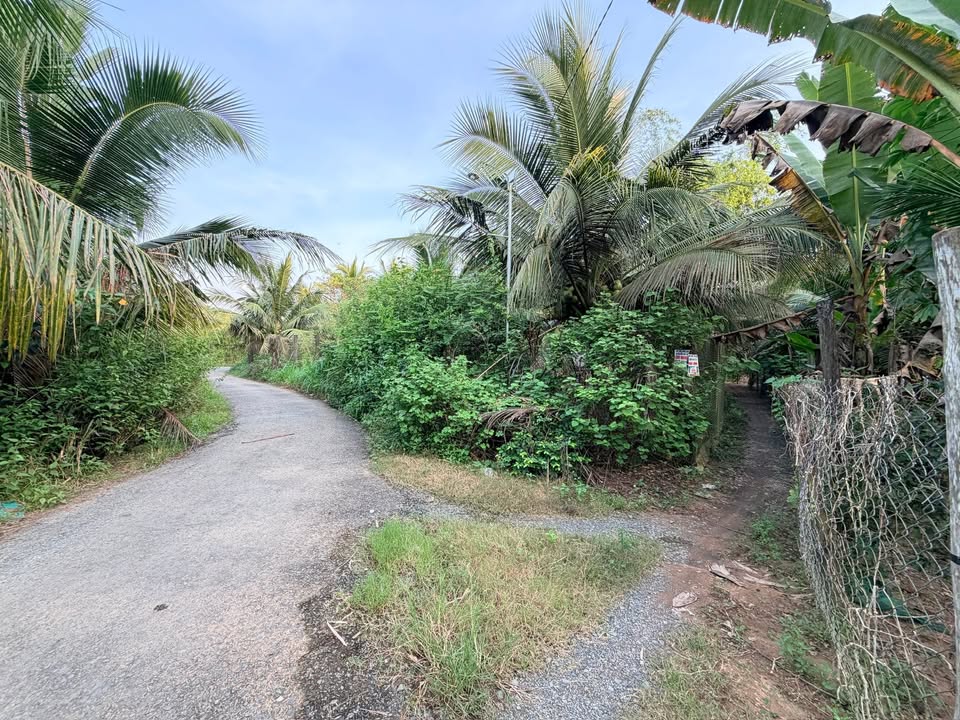 Đất nền Tiểu Cần 1.307m² giá 750 triệu - Pháp lý rõ ràng, cơ hội đầu tư sinh lời!