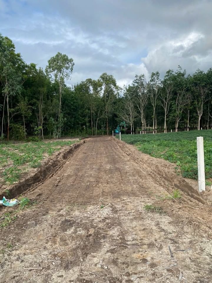 Đất thổ cư Hòa Bình, Kon Tum 1440m² giá 800 triệu - Tiềm năng phát triển cao!