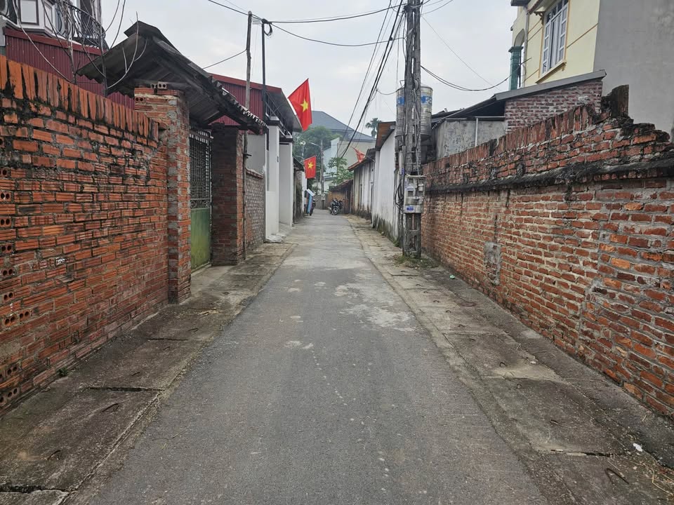 Đất nền Vân Hội, Tam Dương 100m² giá 1.3 tỷ - Cơ hội đầu tư sinh lời nhanh!