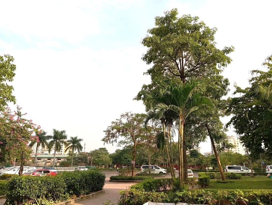 Đất lô góc phường Đức Giang 60m² giá tốt - Mặt ngõ ô tô thông thoáng!