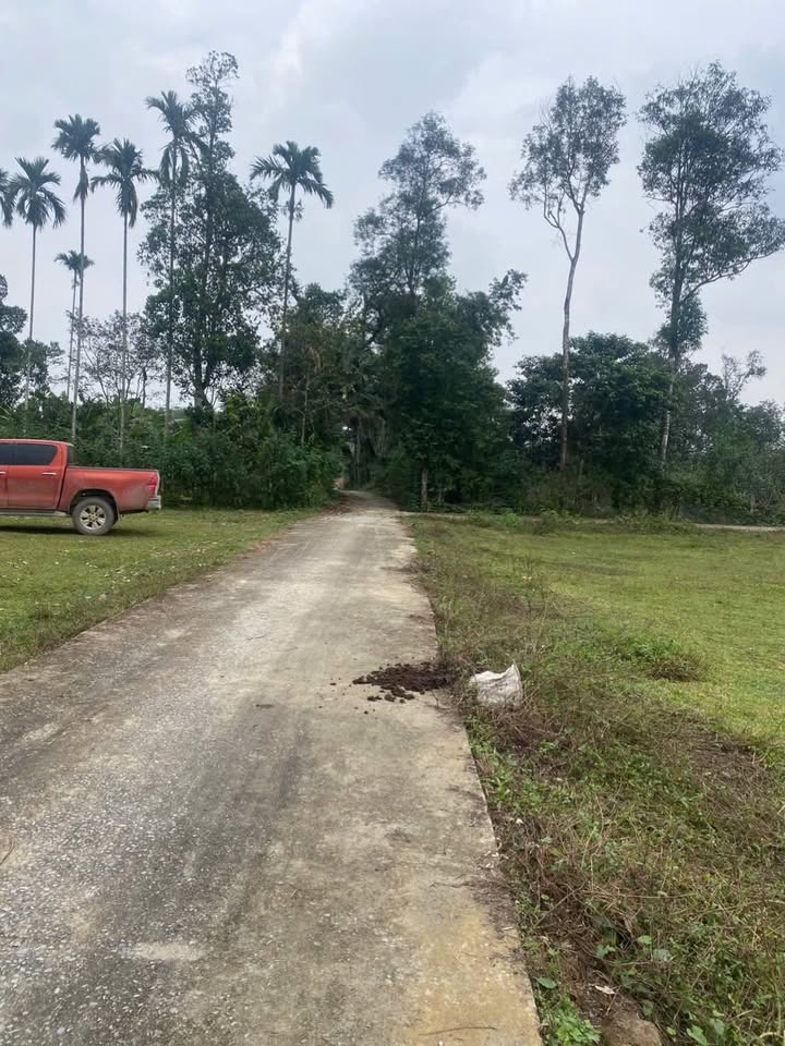 Đất Hương Bình, Hương Khê 168m² giá chỉ từ 200 triệu - Đầu tư sinh lời ngay!