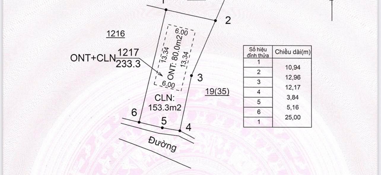 Đất nền Bình Sơn Lục Nam 233m² giá 400 triệu - Đường bê tông thuận tiện!