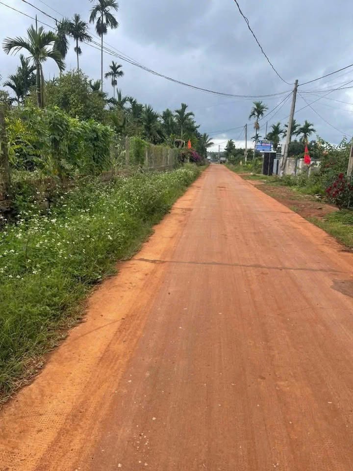 Đất thổ cư Lộc Dũng, Phú Lộc 180m² giá chỉ 600 triệu - Đầu tư sinh lời ngay!