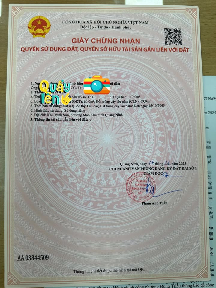 Đất nền Mạo Khê, Đông Triều 118m² - Pháp lý rõ ràng, ô tô vào tận nơi!