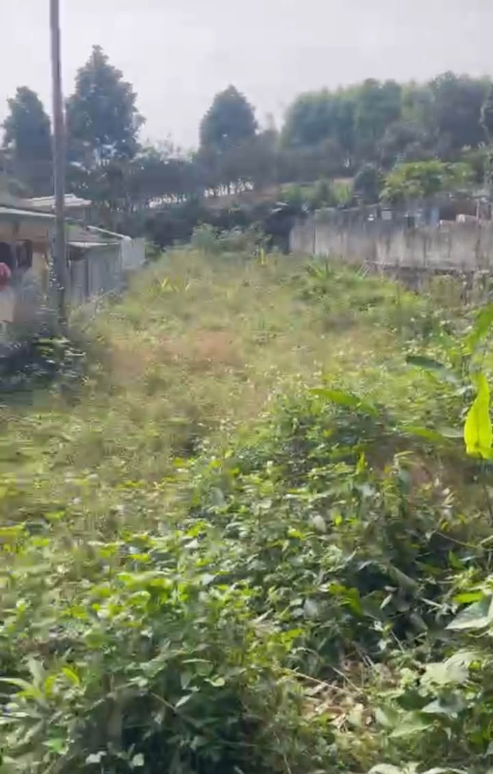 Đất thổ cư thôn 7 Trung Môn 297m² giá 1 tỷ - Đường bê tông thông thoáng!