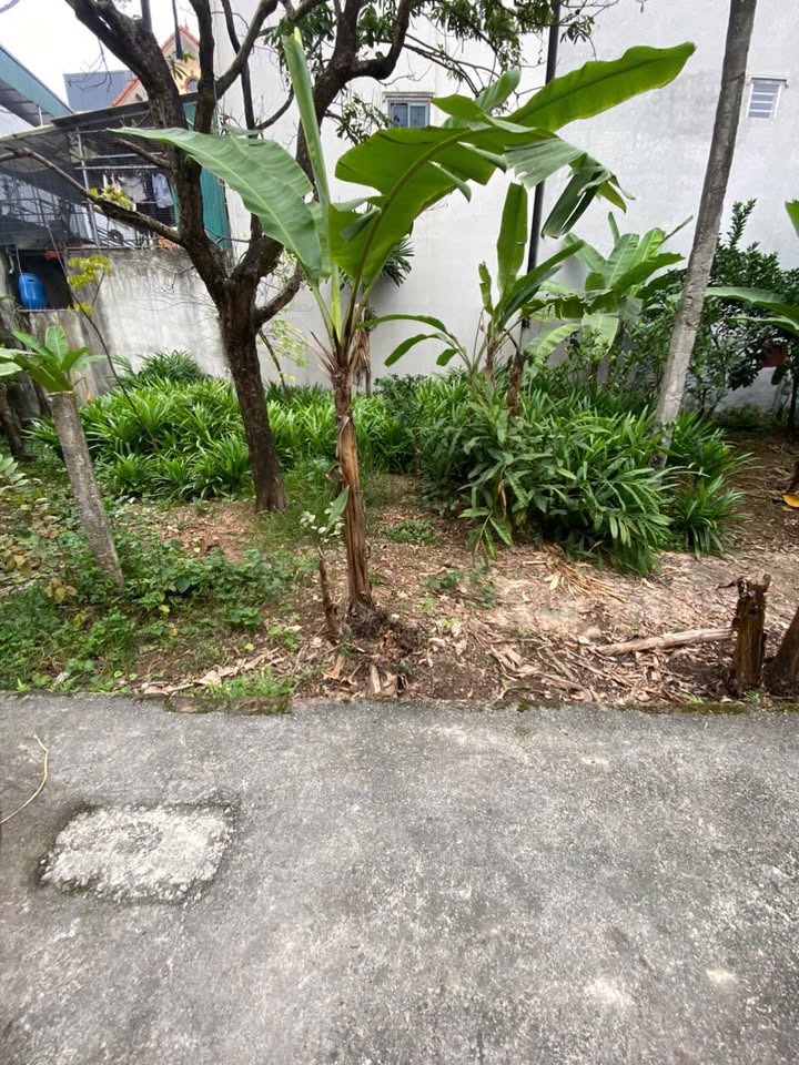 Đất nền Yên Nghĩa Hà Đông 33m² giá thỏa thuận - Đầu tư sinh lời nhanh chóng!