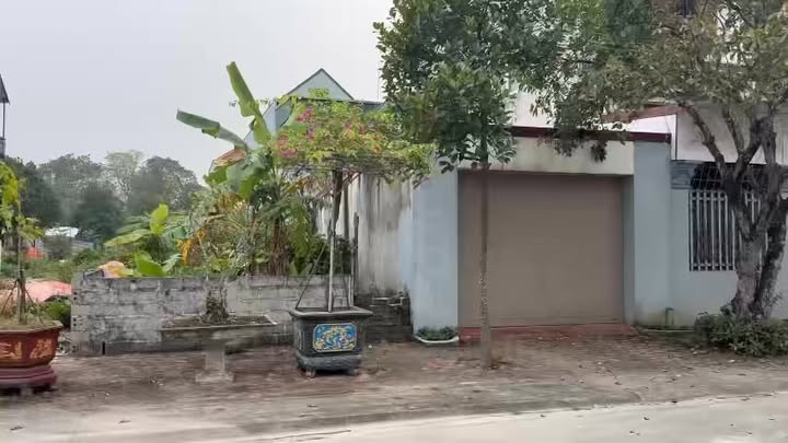 Đất nền Gia Viễn Ninh Bình 85m² - Vị trí đắc địa, giao thông thuận lợi!