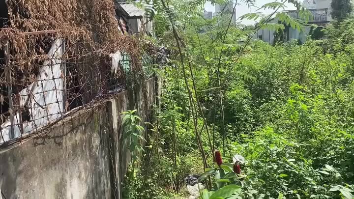 Đất mặt tiền Nguyễn Duy Trinh 1865m² giá 95 tỷ - Quỹ đất lớn hiếm có!