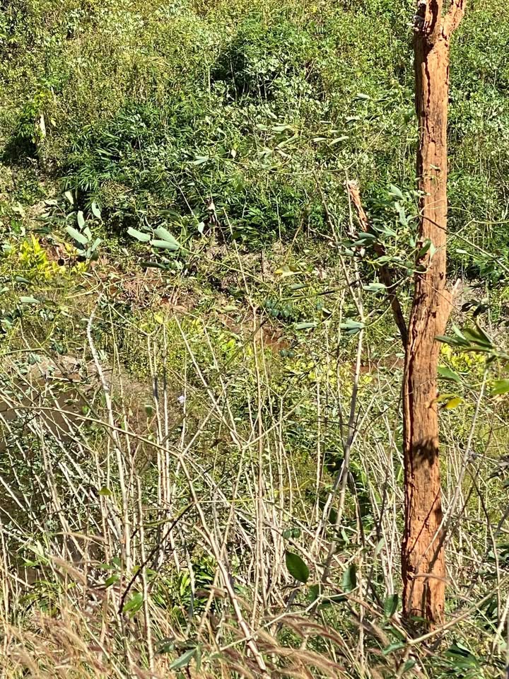 Đất nền Đắk Long, Đắk Hà 2880m² giá thỏa thuận - Cơ hội đầu tư tuyệt vời!