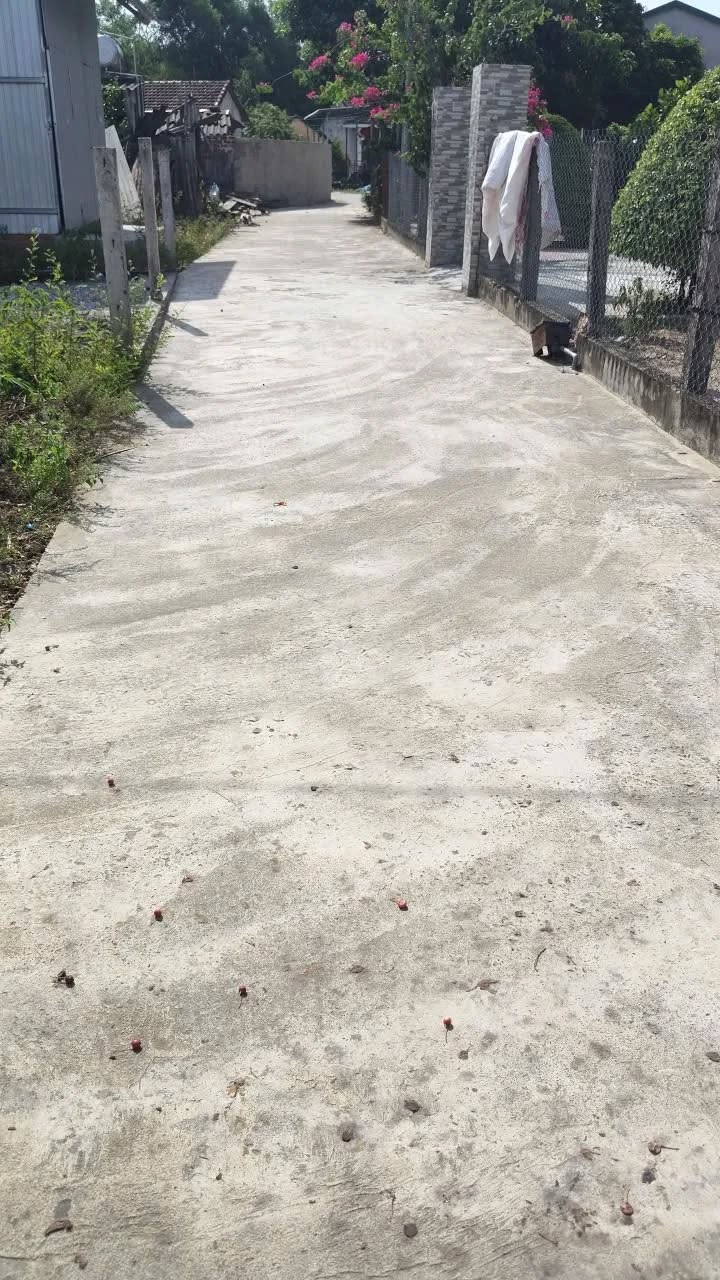 Đất nền Bình Chánh, Bình Sơn, Quảng Ngãi 120m² giá chỉ 4xx triệu - Full thổ cư, vị trí đẹp!